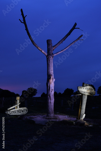 Hanging tree in Sad Hill Cemetery