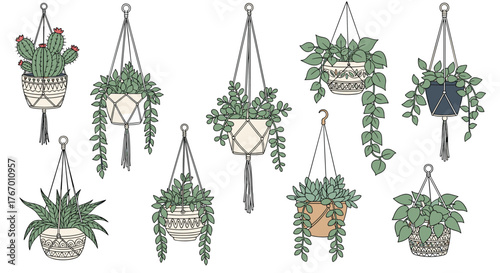 Collection of hand-drawn hanging potted plants with macrame hangers and tassels.