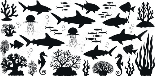 Underwater World Illustration | Sharks, Corals, Jellyfish and Fishes Isolated on transparent Background | Ocean and Marine Life Vector for Design and Decoration