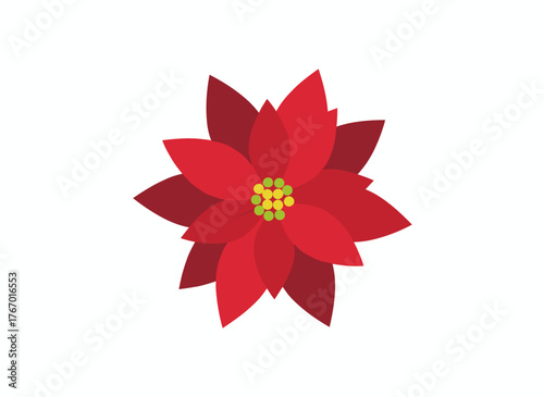 Poinsettia flower, a Christmas symbol and sign, illustrated as a vector design