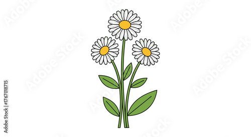 A simple, cheerful illustration of three white daisies with yellow centers and green leaves, symbolizing freshness and natural beauty.