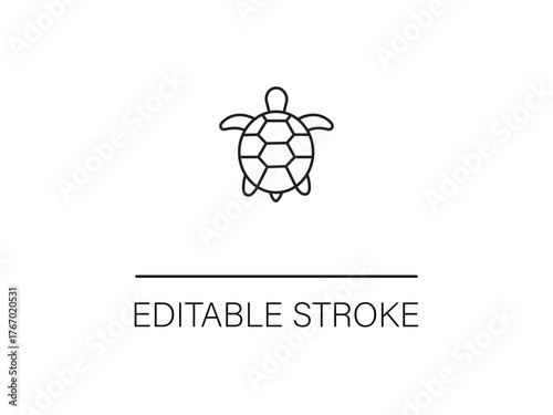Elegant turtle line art, perfect for conservation projects or coastal branding with a clean, modern aesthetic and an editable stroke feature.