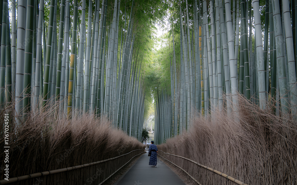 Fototapeta premium Serene pathway through a lush bamboo forest in japan