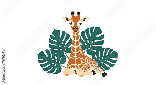 Adorable baby giraffe sitting among lush green Monstera leaves, illustration perfect for children's decor and tropical themes.