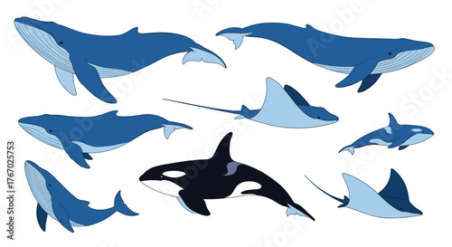A beautiful vector illustration showcasing various blue and black marine animals like whales, stingrays, and an orca, swimming gracefully.
