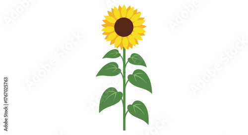 A vibrant and cheerful yellow sunflower plant with a dark brown center and green leaves stands tall, embodying summer and nature.
