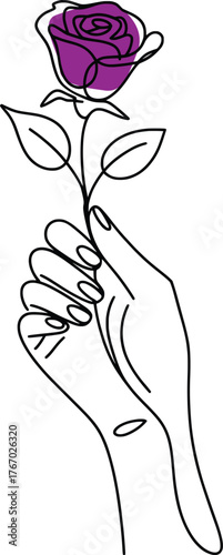 Elegant Hand Holding Purple Rose Line Art Illustration.