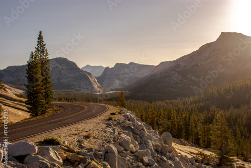 Curve of Tioga Road, Yosemite National Park, California