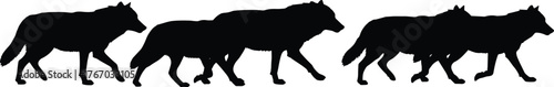 Five wolves walking in line silhouette cartoon illustration, symbolic unity and expressive group movement artwork for lifestyle and design