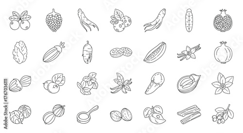 Collection of various natural ingredients and spices hand-drawn with dotted lines.