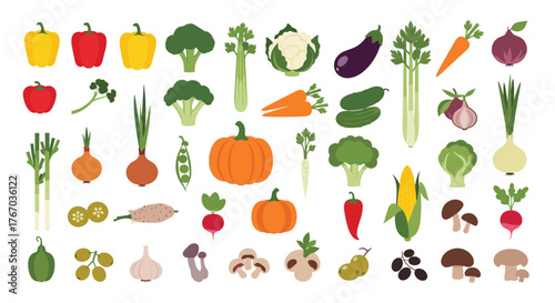 A vibrant assortment of fresh vegetables and mushrooms arranged in a visually appealing pattern.