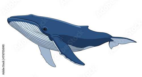 Illustration of a blue whale swimming gracefully through the ocean waters.