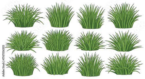 Collection of stylized green grass clumps against a white background.