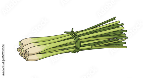 Illustration of a bundle of fresh lemongrass stalks tied together with twine.