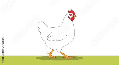 A vibrant illustration of a white hen with a red comb and orange legs walking on green grass, casting a shadow.