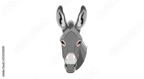 Frontal illustration of a gray donkey's head with alert ears and a light muzzle, isolated on a white background.