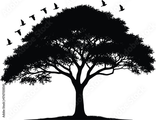 Tree with birds flying silhouette cartoon illustration, symbolic nature and expressive gesture artwork for lifestyle and emotional design
