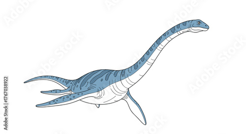 Illustration of a blue and white Plesiosaurus, a long-necked marine reptile with four flippers, depicted against a clean white background.