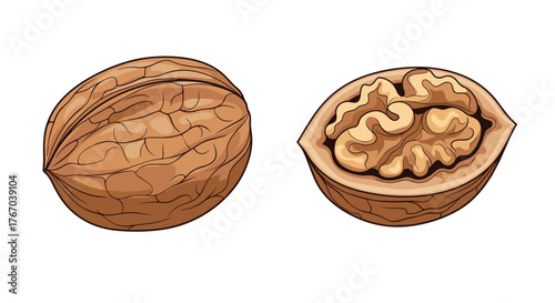 Two walnuts, one whole and one cracked open to reveal the edible kernel, are depicted as a detailed illustration on a white background.