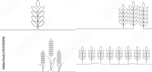 A set of wheat crop one continuous line art, Vector illustration, One line art, Line art graphic style