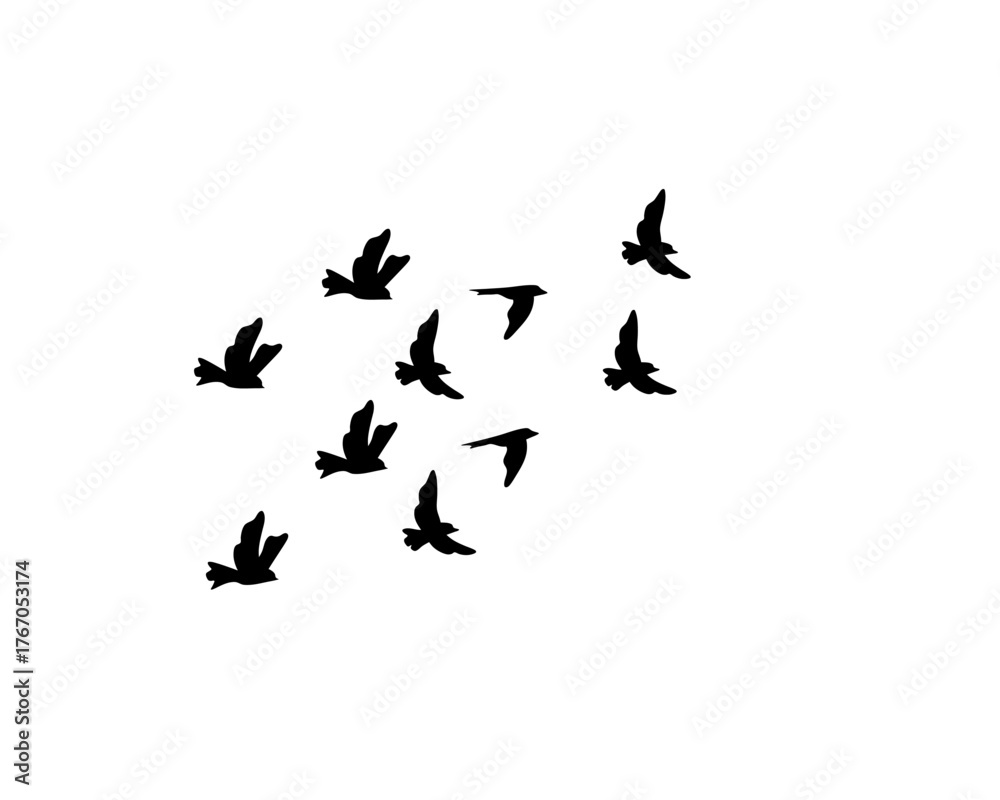 Obraz premium Dense swarm of flying birds in black, stunning for murmuration-inspired art and nature wallpapers.