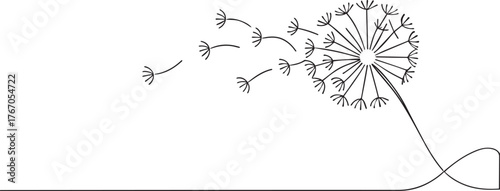 Dandelion seeds blowing in the wind one continuous line art, Vector illustration, One line art, Line art graphic style