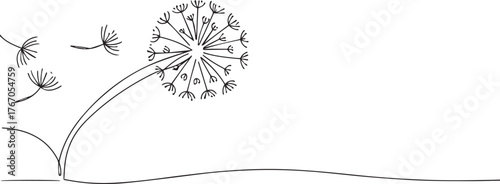 Dandelion seeds blowing in the wind one continuous line art, Vector illustration, One line art, Line art graphic style