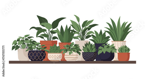 A collection of various potted green plants displayed on a shelf against a white background.