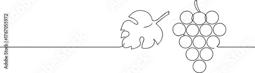 Grape fruit with leaf one continuous line art, Vector illustration, One line art, Line art graphic style