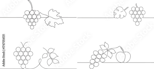 A group of Grape fruit with leaf one continuous line art, Vector illustration, One line art, Line art graphic style