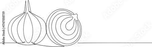 onion bulb vegetable one continuous line art, Vector illustration, One line art, Line art graphic style