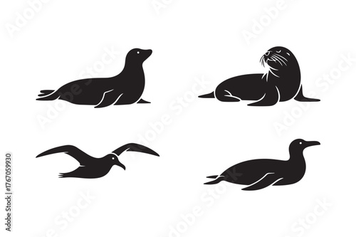Four silhouettes of marine animals seals and birds