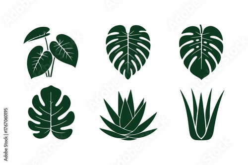 Collection of six stylized green tropical plant leaves and cacti