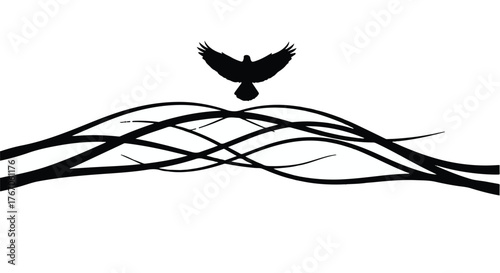 Mysterious black bird in flight above abstract dark branches against a white background