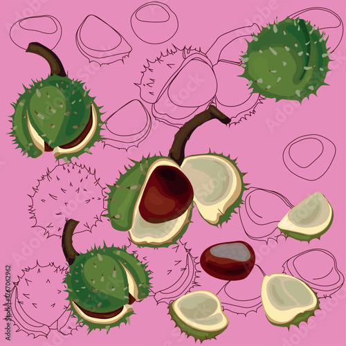 Composition of ripe horse chestnut fruit (Aesculus hippocastanum)  on pink background. Seamless pattern.	