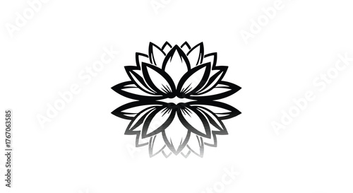 Elegant black and white lotus flower with reflection, symbolizing peace and purity