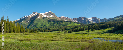 Mount Bellview Panorama