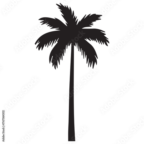 silhouette of palm trees