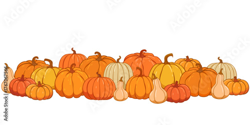 Pumpkin patch vector set. Bunch of autumn pumpkins. Hand drawn pumpkin squash in different colors and shapes.