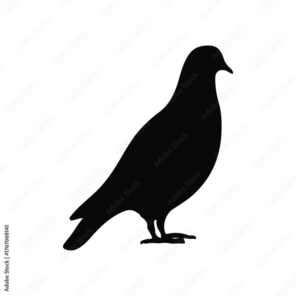 Fototapeta premium silhouette of dove