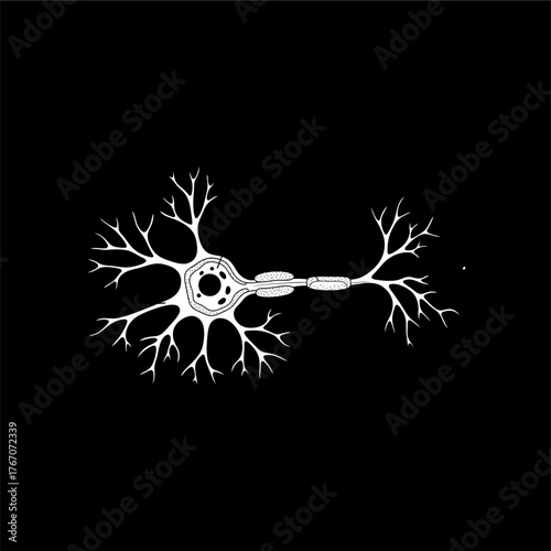 Organ Systems in the Human Body: Types, Parts, and Functions