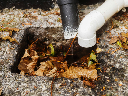 Wallpaper Mural A pipe is dripping water into a hole in the ground filled with dirt and fallen leaf. Torontodigital.ca