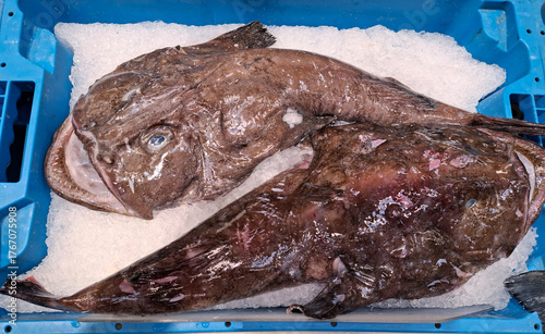 Fresh monkfish chilled on ice at a supermarket display for customers to choose from