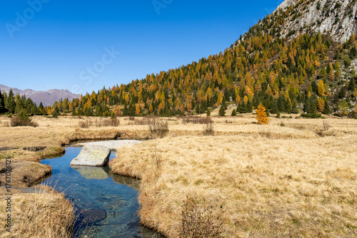 Foliage in Val Camonica in autunno