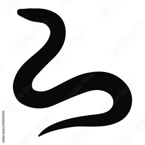 black and white snake