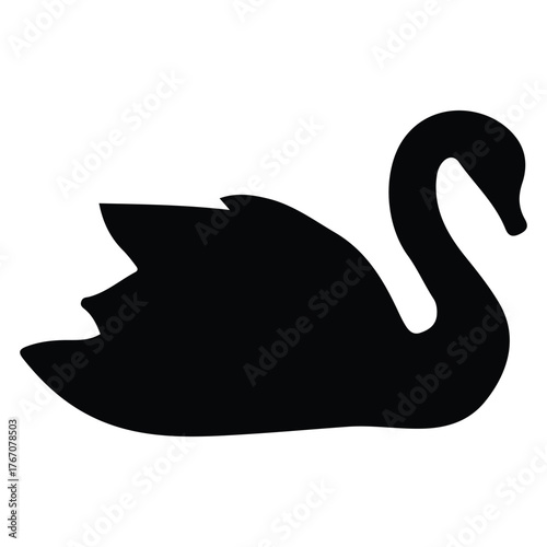 black swan vector illustration