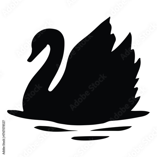 black swan vector illustration