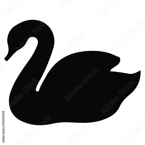 black swan vector illustration