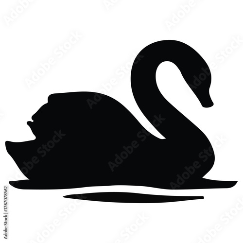 black swan vector illustration