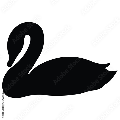 black swan vector illustration